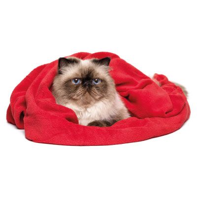 Cats Blanket Cats Print Blanket Cat Throw Blanket Cat