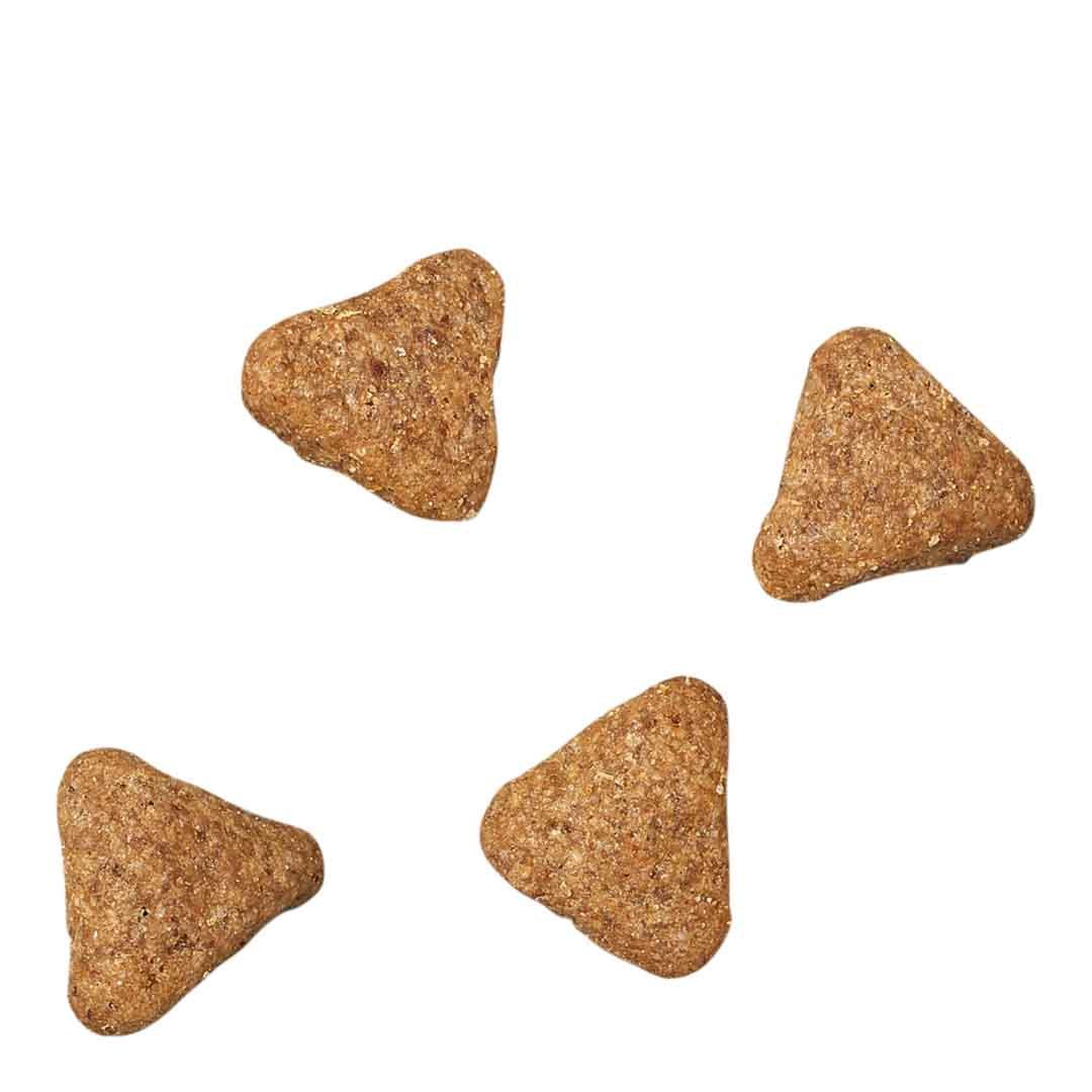 James Wellbeloved Dog Senior Fish & Rice Dry Dog Food