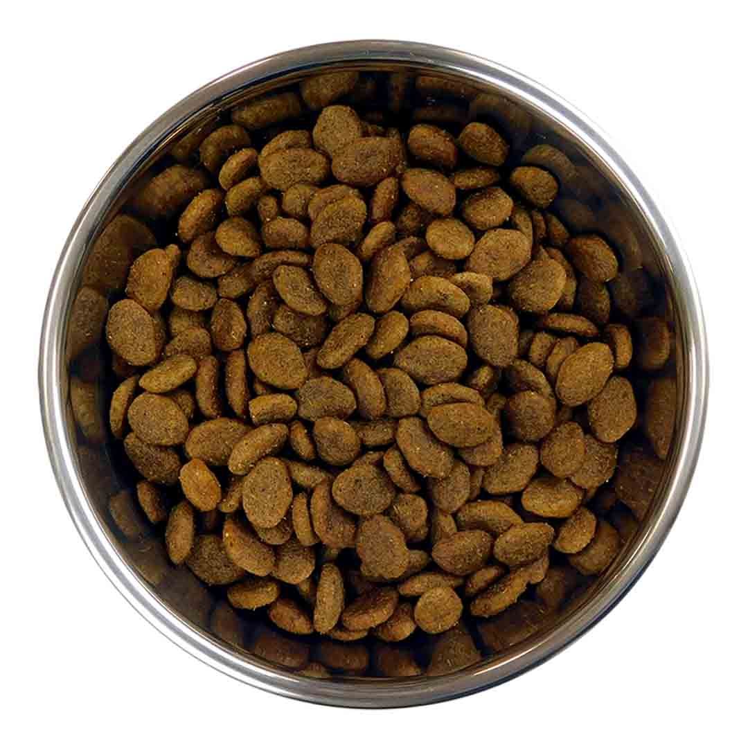 Barking Heads Golden Years 12kg | Dry Dog Food