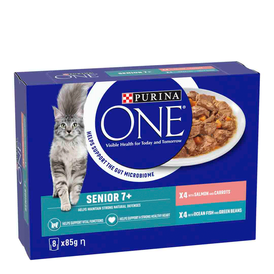 Purina One Purina One Ocean Salmon Senior Dry Cat Food pet food packaging