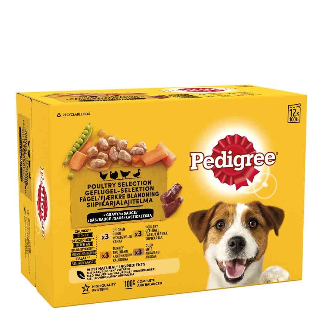 Pedigree Adult Wet Dog Food Pouches Mixed Selection in Gravy 12 x 100g