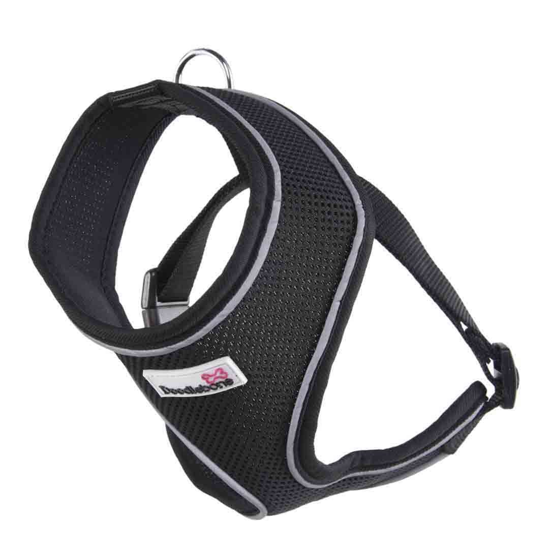 Doodlebone Dog Accessories Instore & Online at Jollyes