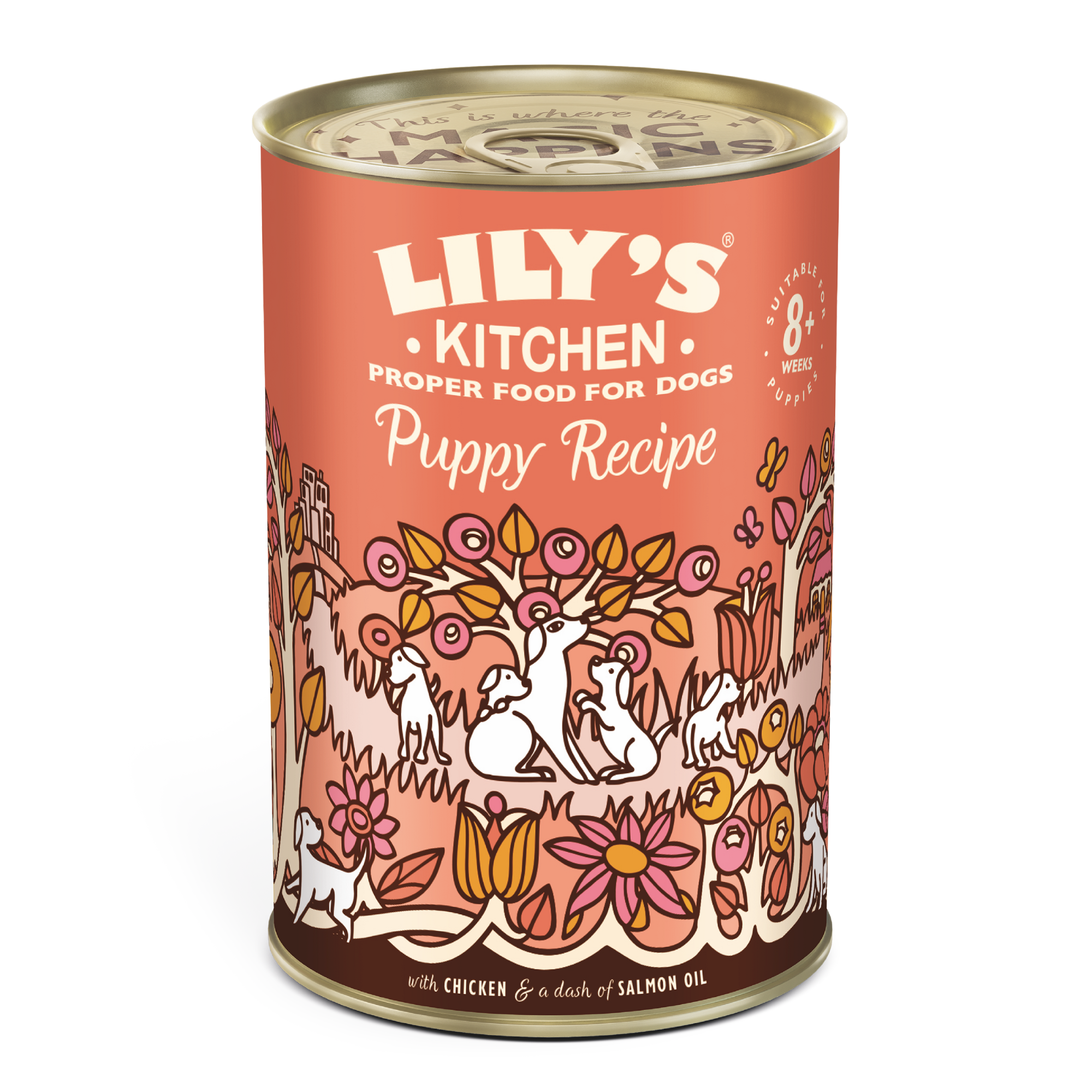 Lily's Kitchen Lily'S Kitchen Chicken Puppy Dry Dog Food pet food packaging