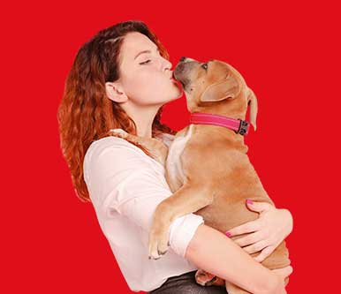 hot weather shoes for dogs