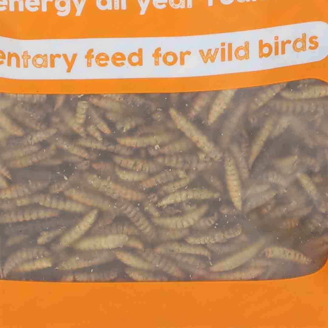 Why are There Tiny Worms in My Bird Food: Causes & Solutions