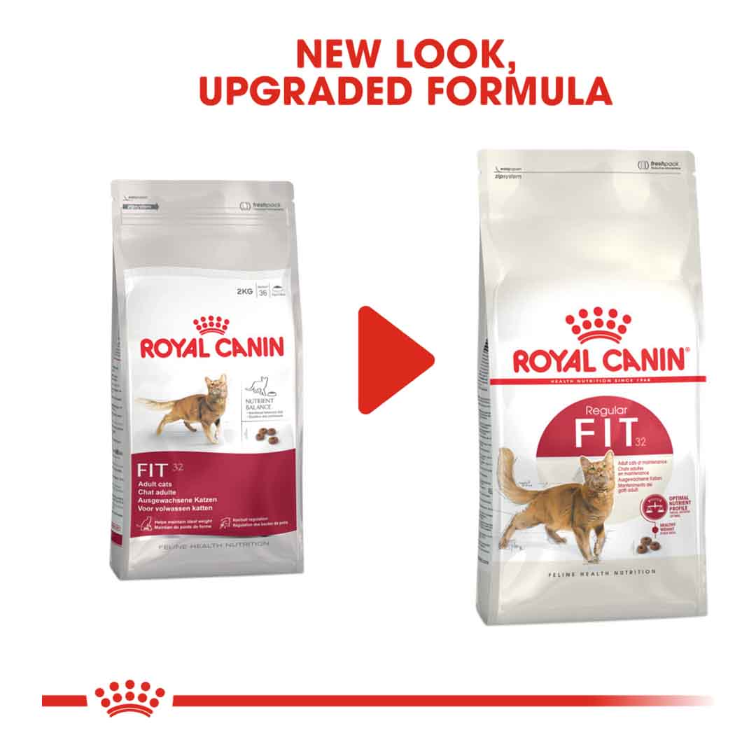Royal Canin Fit 32 Dry Cat Food