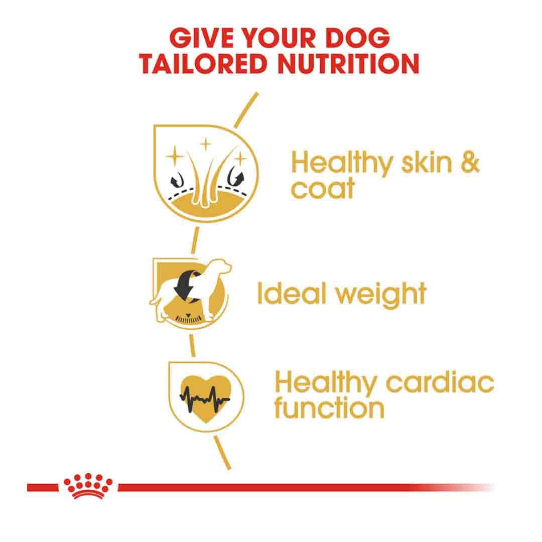 Royal Canin Cocker Adult Dry Dog Food