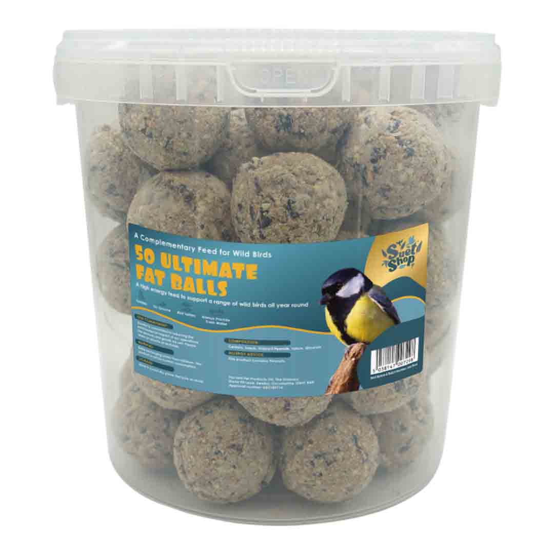 Natures Market Suet Fat Balls 10 Pack – High Energy Wild Bird Food With Free Feeder