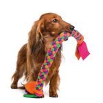 Dog toys