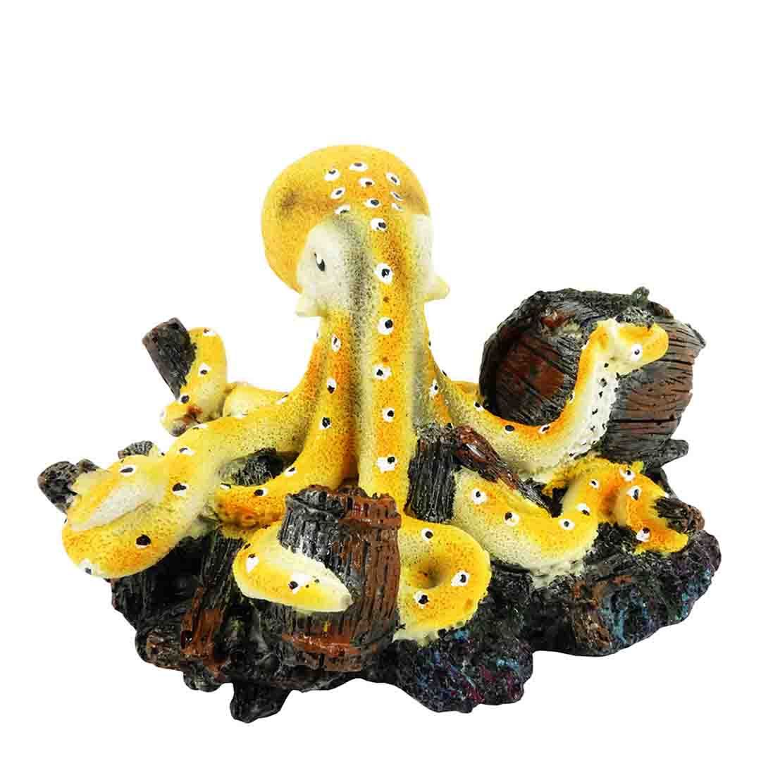 Cold Water Fish Tank Plants Live Plants for Fish Tanks Jollyes