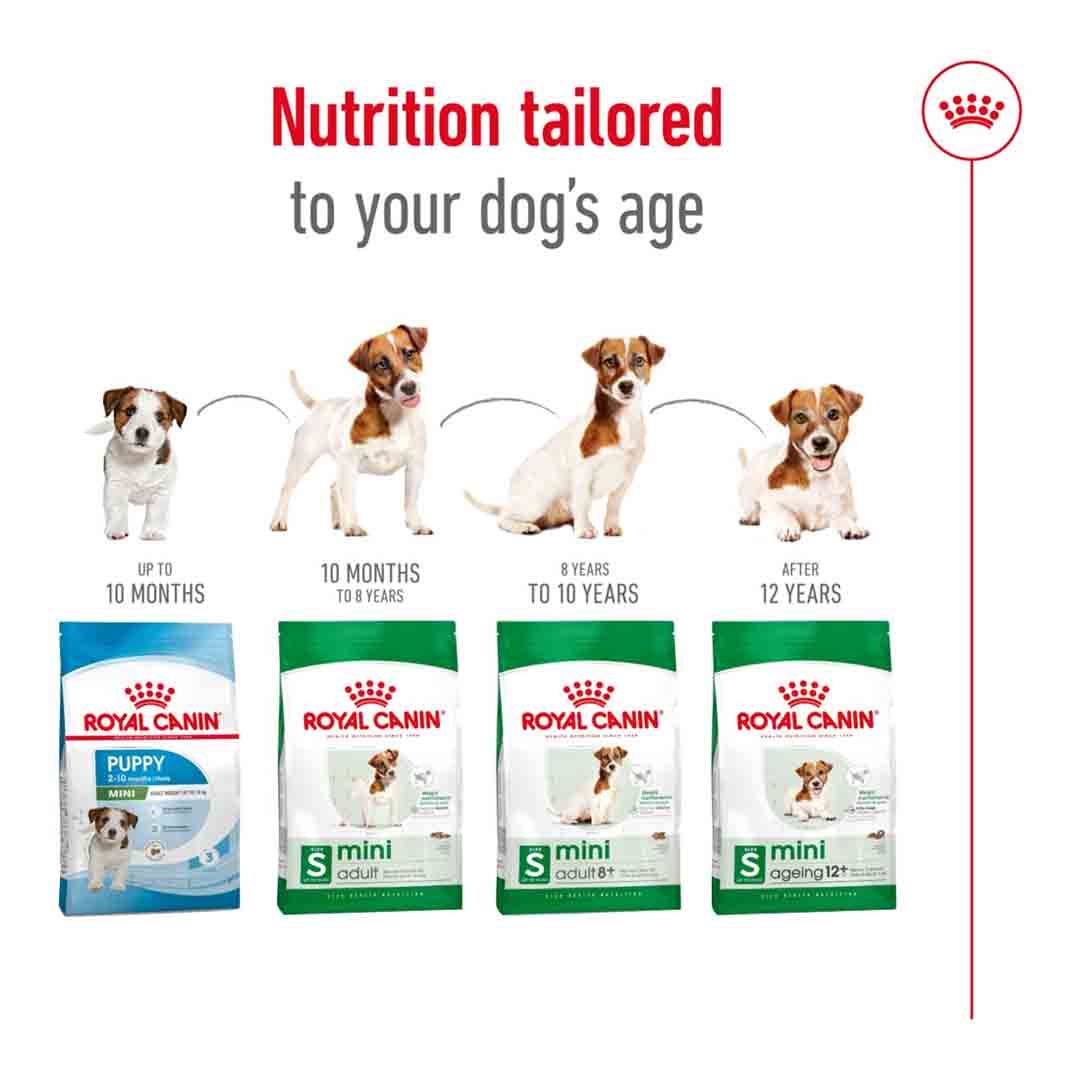 Royal Canin Dry Dog Food Mini Adult 2kg Jollyes