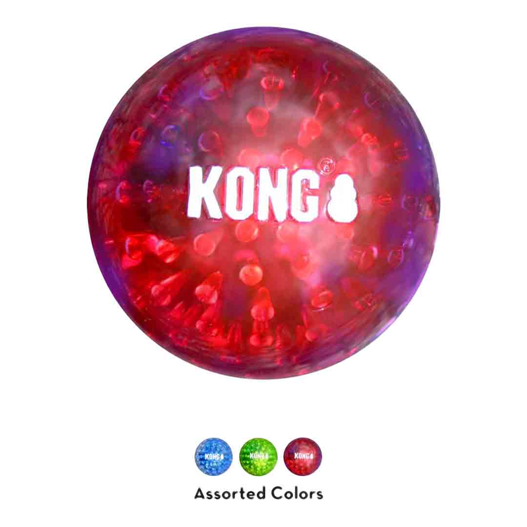 KONG Giocattolo Per Cani Blue XL – Gomma Ultra Resistente, Rimbalza In Modo Imprevedibile, Radio-Opaco E Robusto Per Cani Grandi