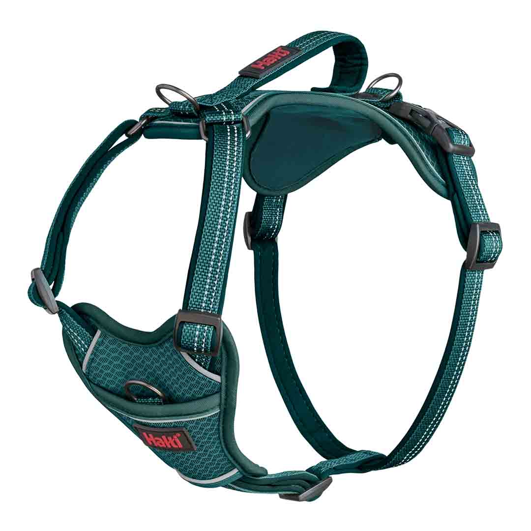 Halti Anatomy Dog Harness main image 1