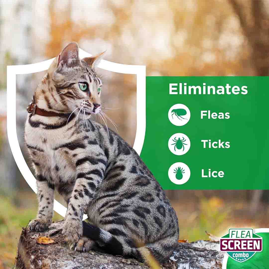 Flea Screen Combosmall Dogs 3 Pipettes Spot On Flea Treatment | INDIA