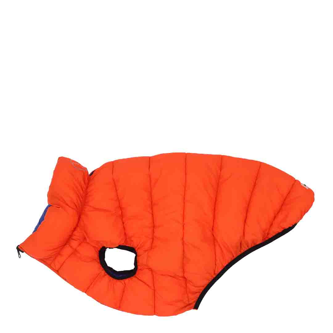 R&R Reversable Puffer Jacket BO Dog Outfit