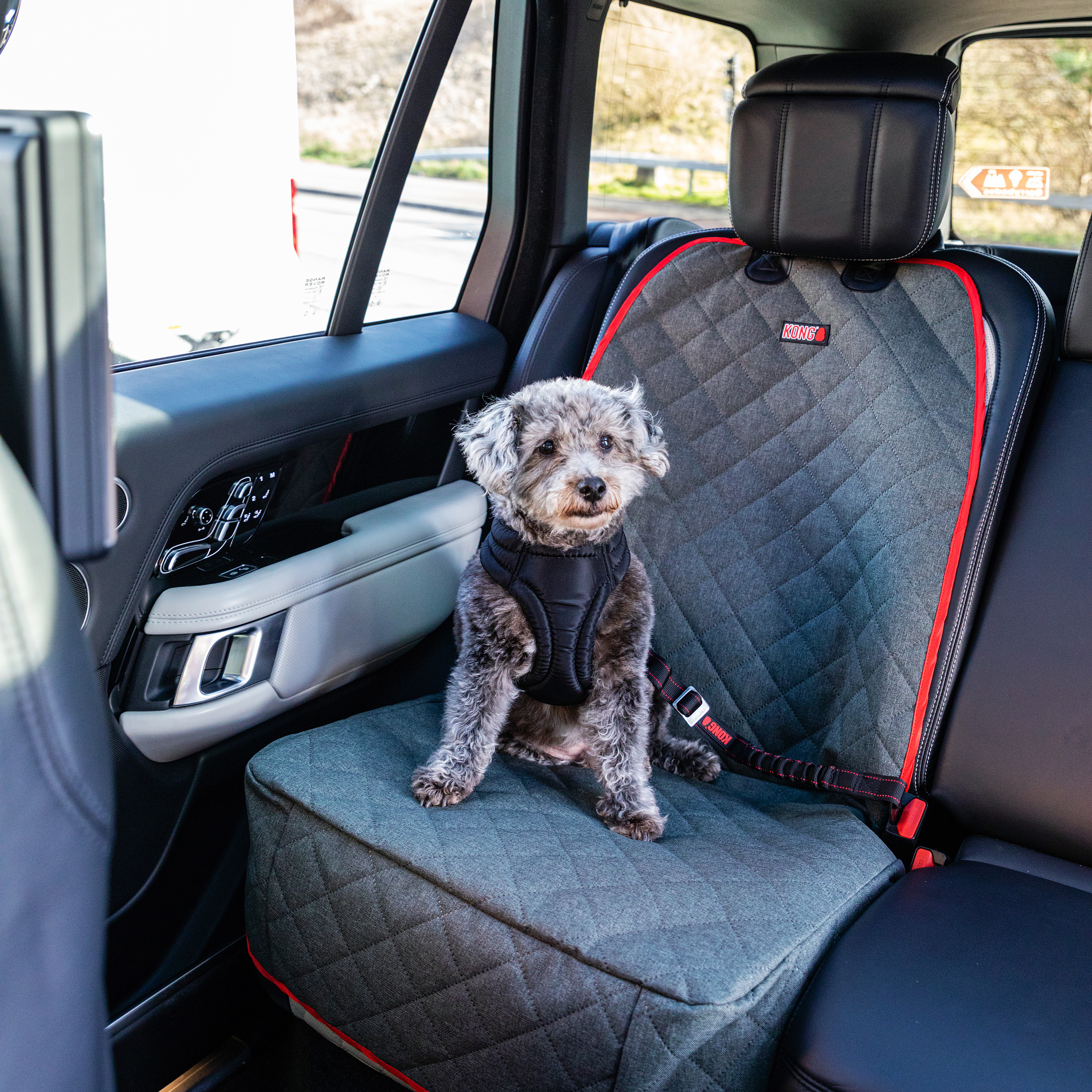How To Use KONG Ultimate Safety Seat Belt Tether Dog Travel