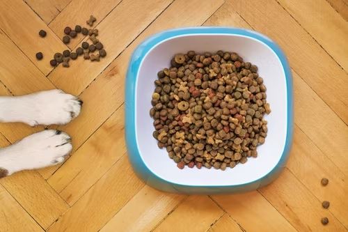 Calcium rich clearance food for puppies