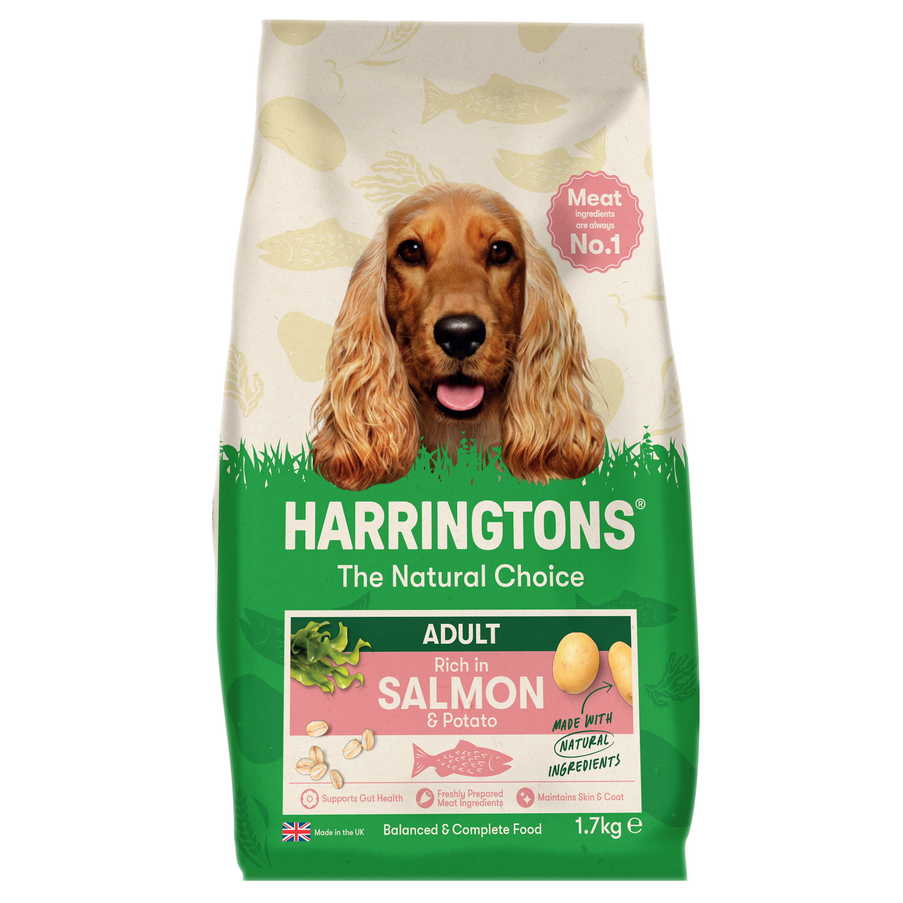 Harringtons Harringtons 38 Salmon Adult Dry Dog Food pet food packaging