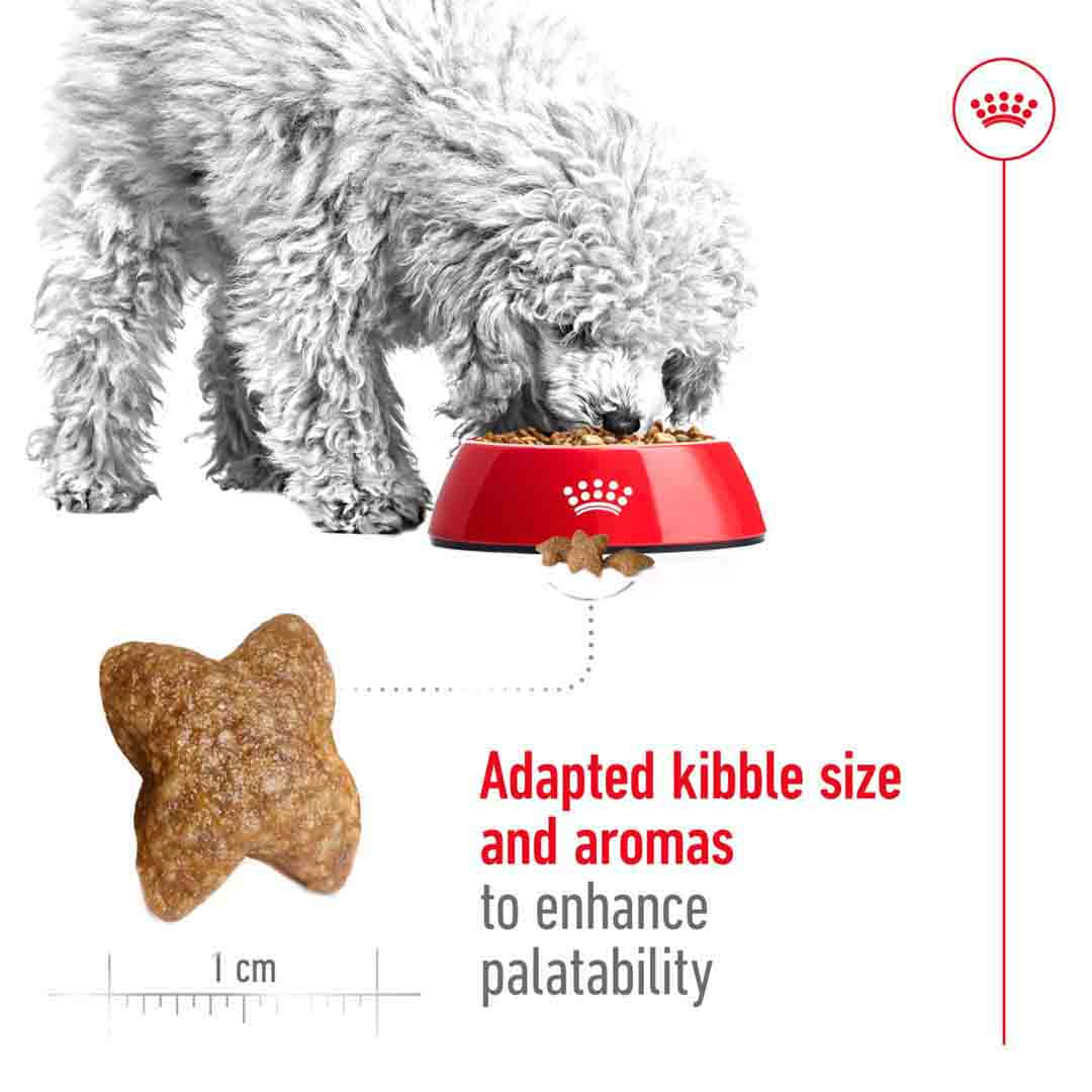 Royal Canin Dry Dog Food Mini Adult 8kg | Jollyes
