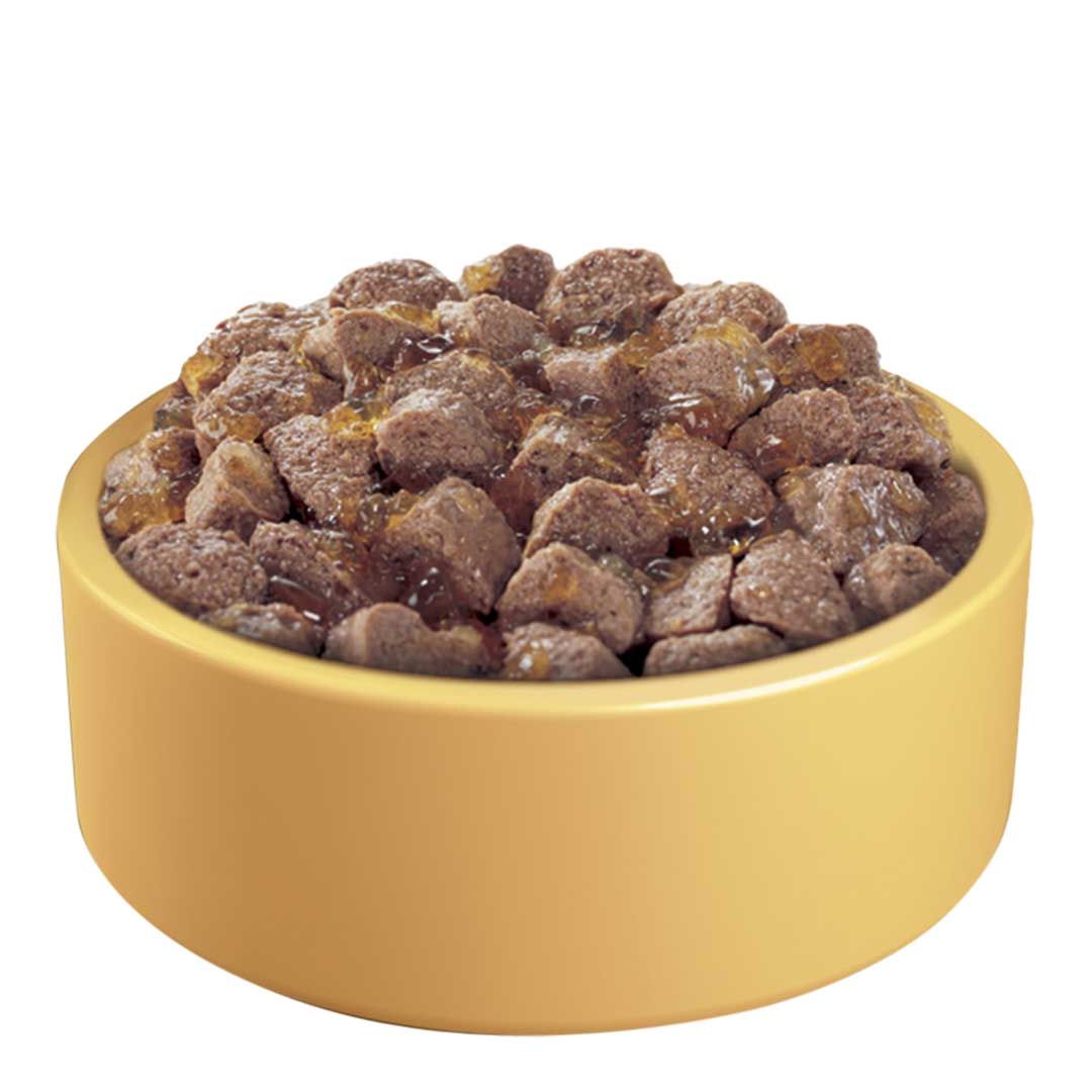 Pedigree Dog Tins Mixed Selection in Jelly 12x385g Wet Dog Food