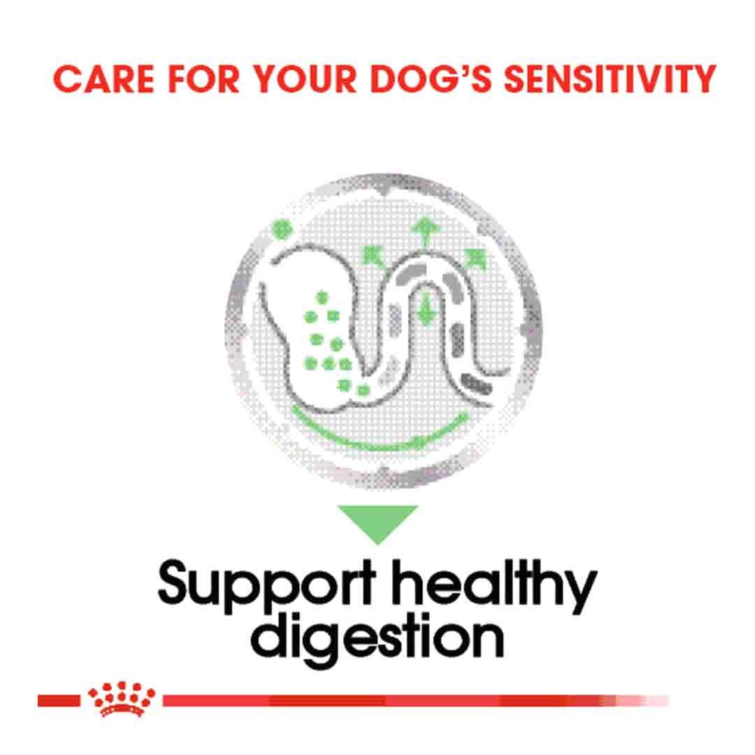 Royal Canin Digestive Care Wet Pouches 12x85g Wet Dog Food