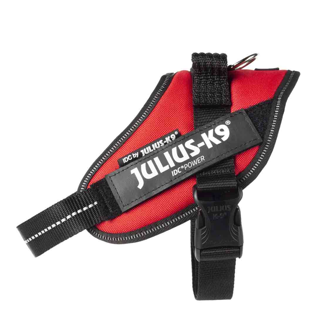 Idc Powerharness Size: M/0 Viva Magenta 1 The Official IDC