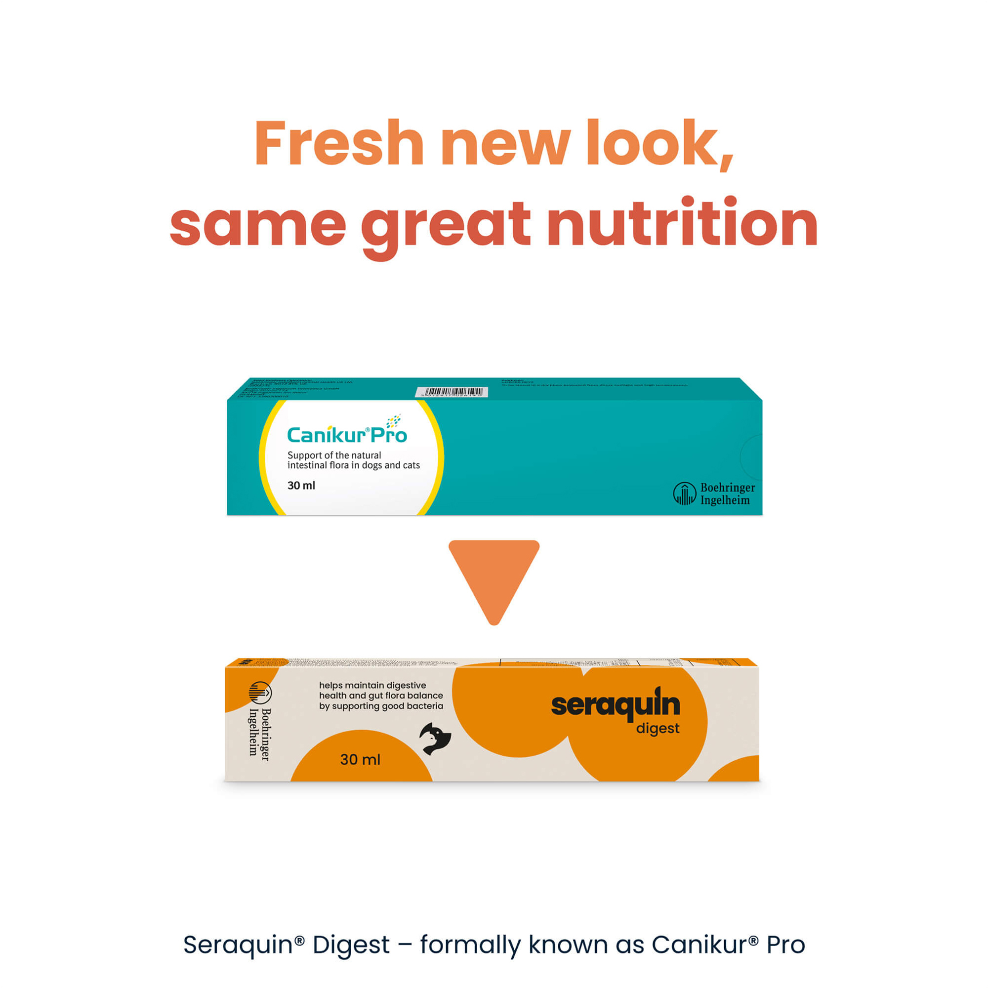 For Dogs Seraquin For Cats Seraquin Dog Digestive Treatment 30 Ml