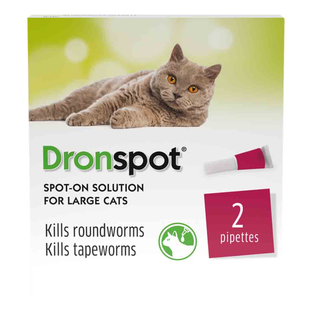 Dronspot SpotOn For Large Cat Cat Worming Jollyes