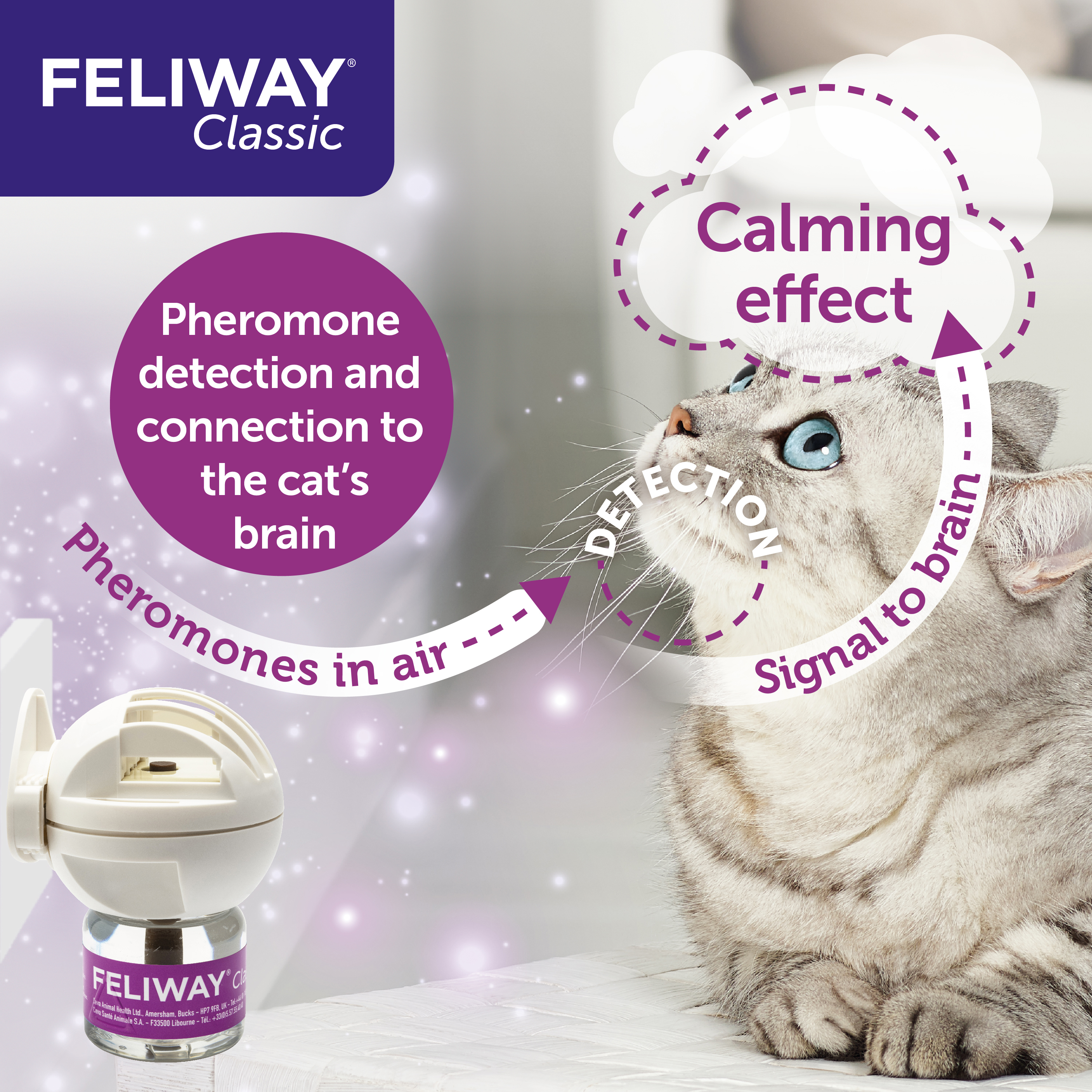 Comfort Zone Alternatives To Feliway Feliway Comfort Zone Spray
