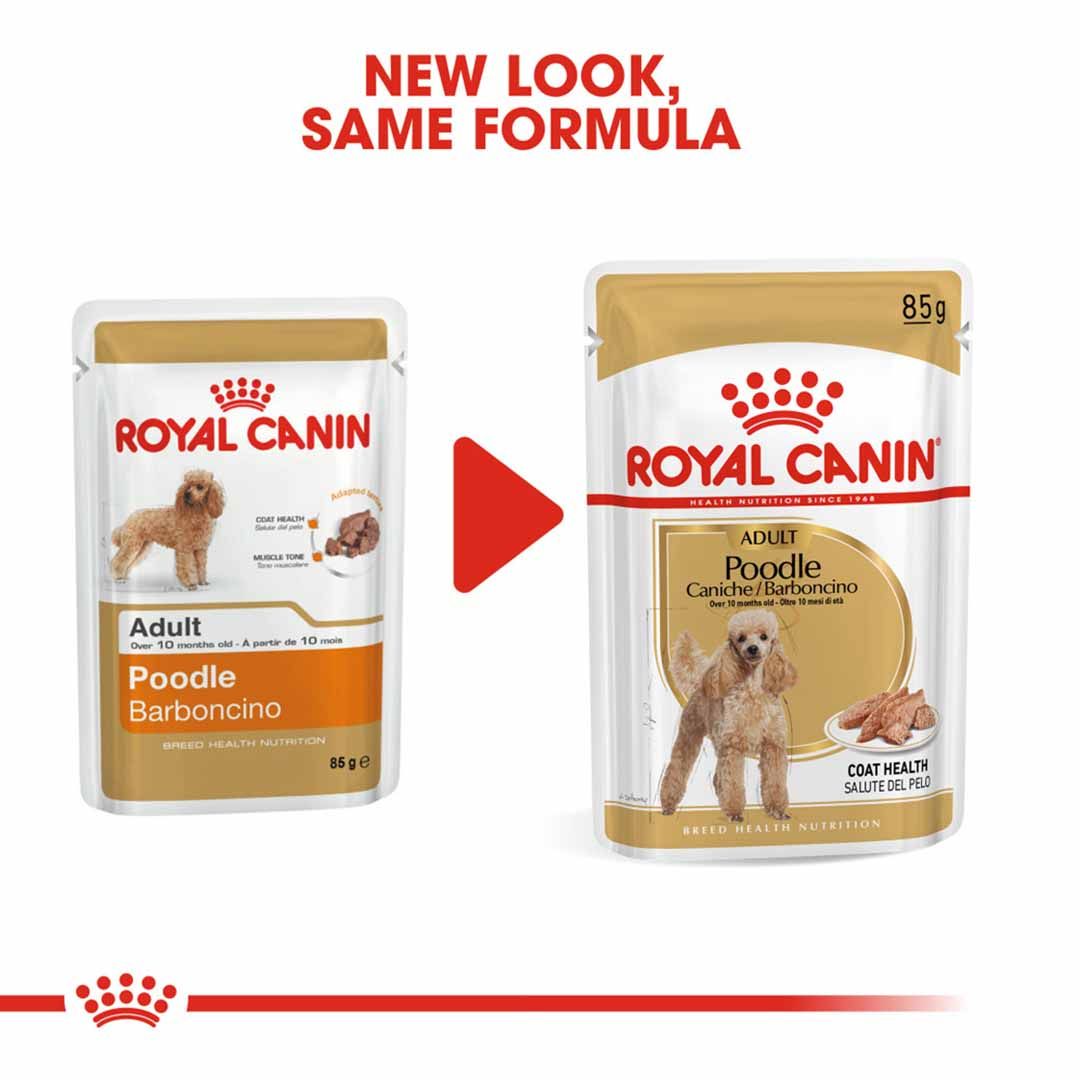 Royal Canin Wet Poodle Dog Food Wet Dog Food