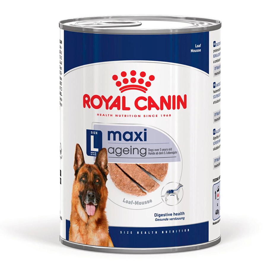 Royal Canin Ageing Senior Wet Dog Food