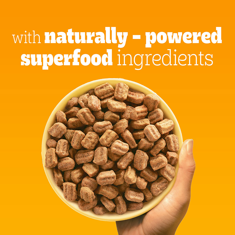 Pedigree Puppy Medium Dog Complete Dry with Poultry and Rice 12kg