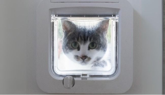 Cat flap with chip sensor best sale