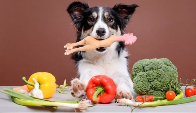 Dog with vegetables.