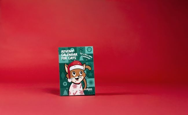 Cat-themed advent calendar with a cartoon cat in a Santa hat on the cover, set against a red background.