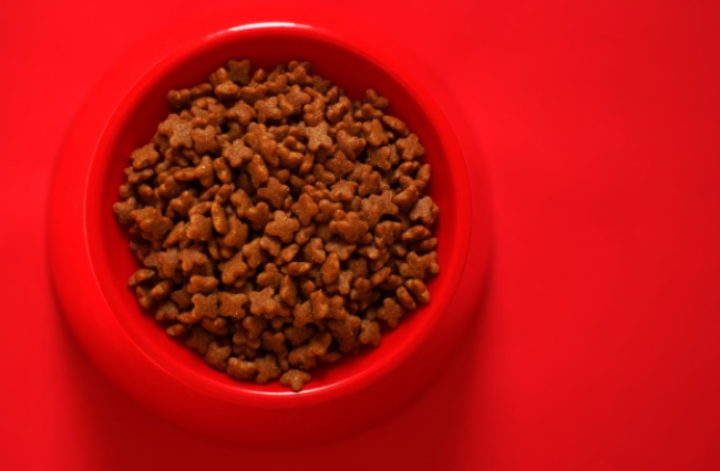 Red bowl filled with brown, star-shaped dry dog food, placed on a bright red surface.