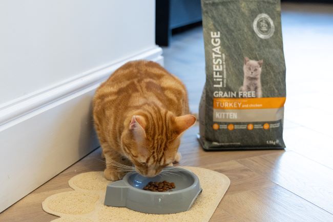 Orange tabby cat eating from a gray bowl on a mat, with a bag of grain-free kitten food nearby.