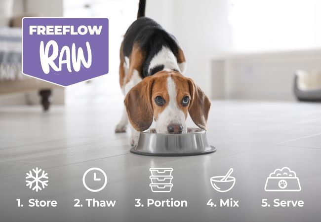 Beagle eating from a bowl indoors; 'Freeflow Raw' text and icons for storing, thawing, portioning, mixing, and serving are shown below.