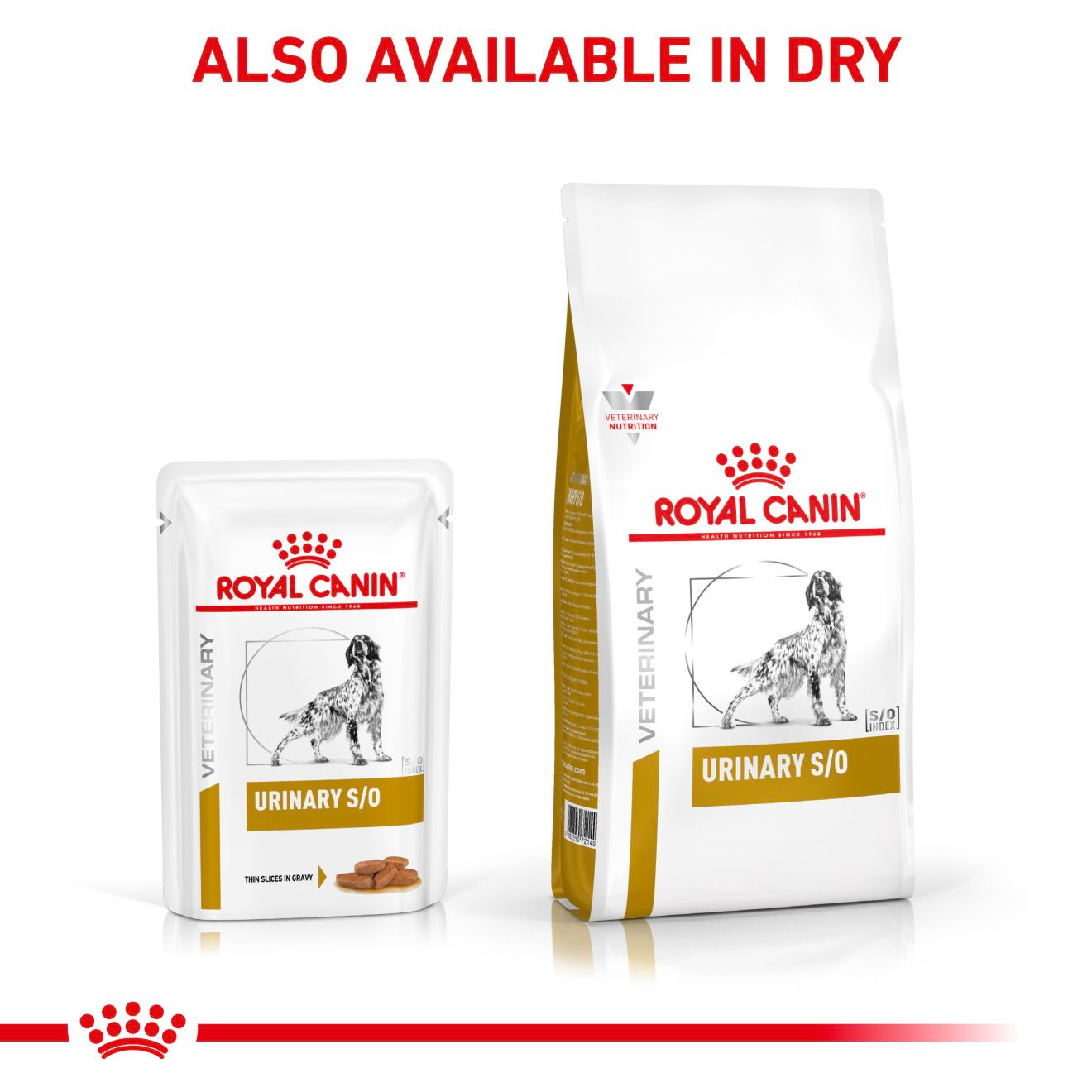 Royal Canin Urinary S/O Adult Wet Dog Food Thin Slices In Gravy