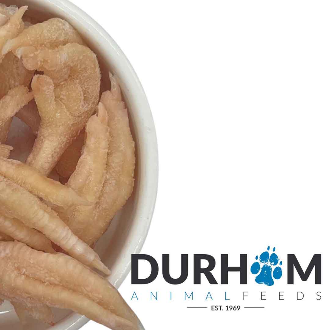 Durham Durham Animal Feeds Feet Raw Chicken Adult Dry Dog Food pet food packaging