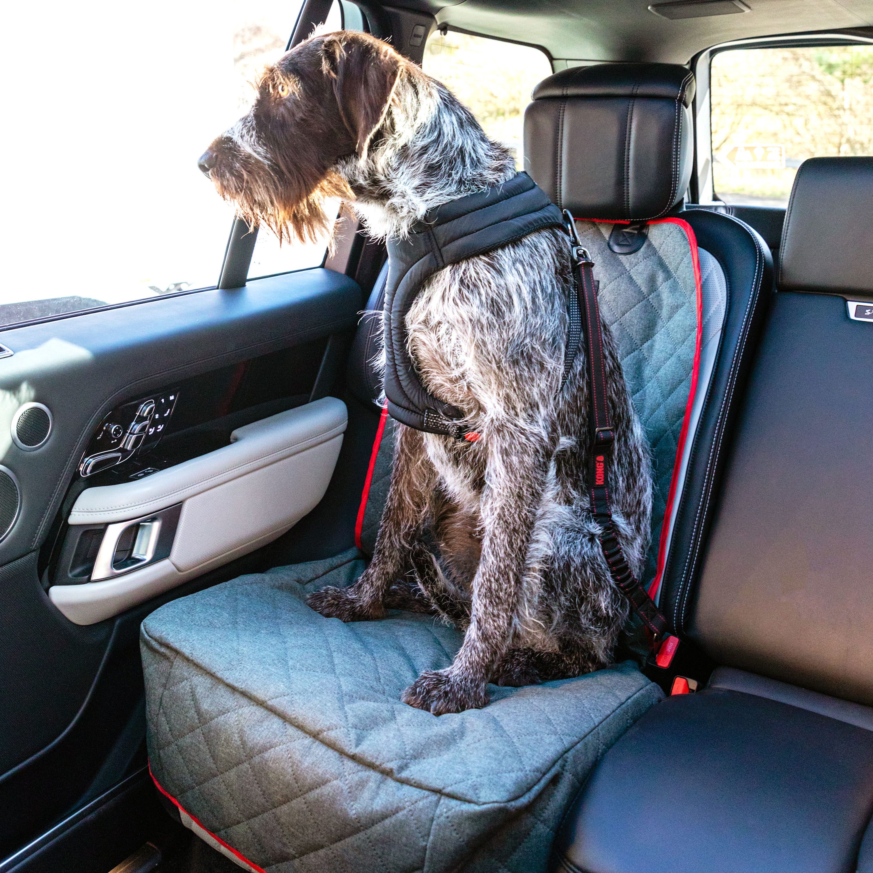 Kong Deluxe Swivel Tether Dog Seat Belt
