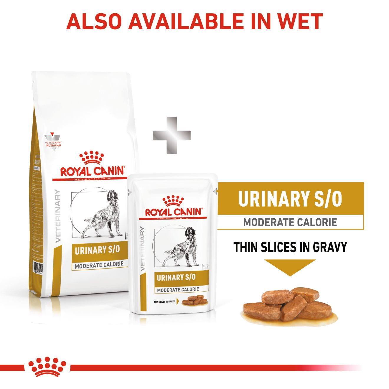 Royal Canin Urinary S/O Moderate Calorie Adult Dry Dog Food Jollyes