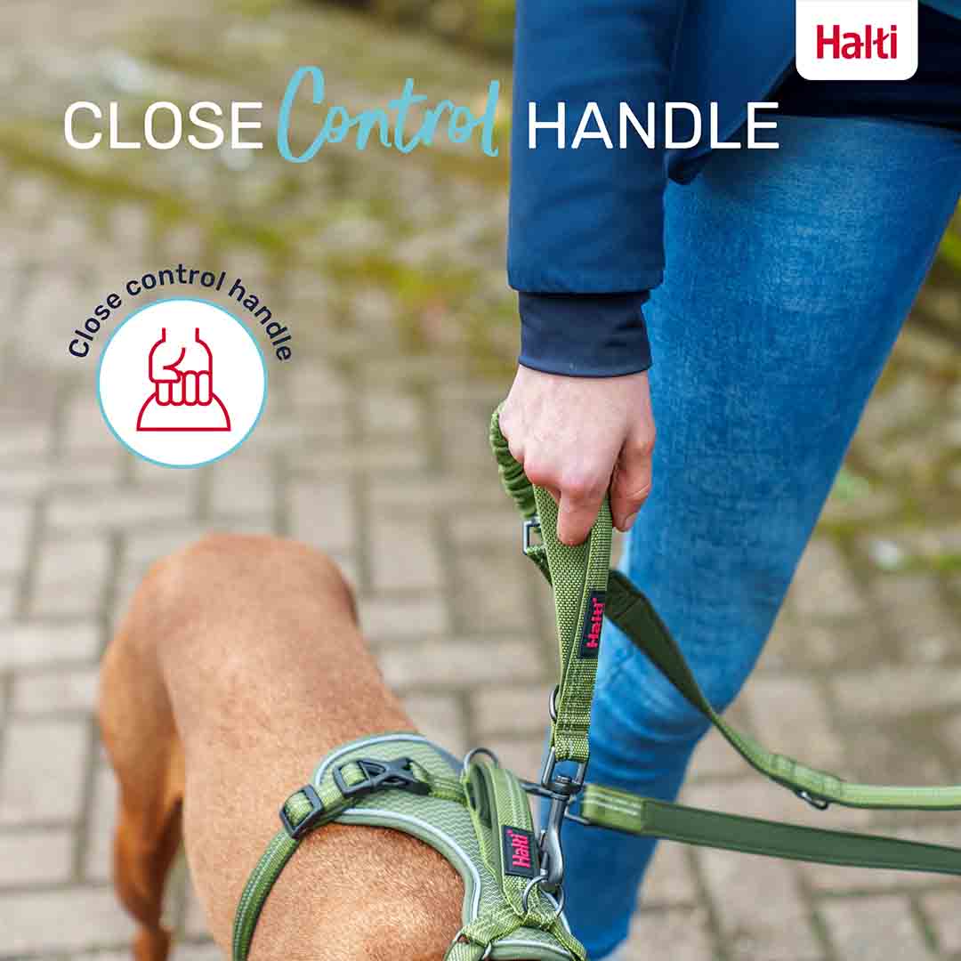 Halti Anatomy Multi Use Dog Lead in Teal, Large Jollyes