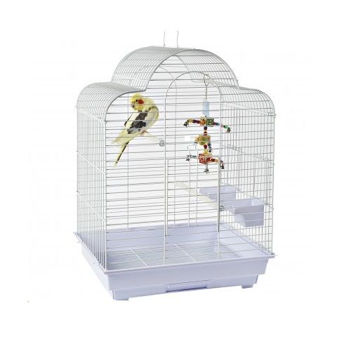 Pet Bird Cages Pet Bird Jollyes