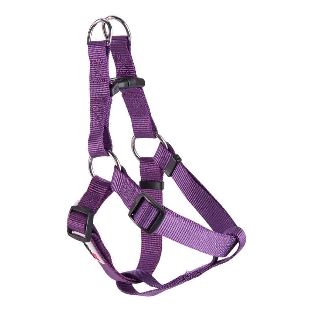 Doodlebone Dog Accessories Instore & Online at Jollyes