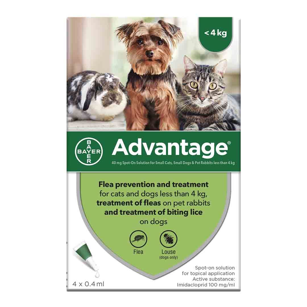 Advantage II Large Cats Over Flea Treatment