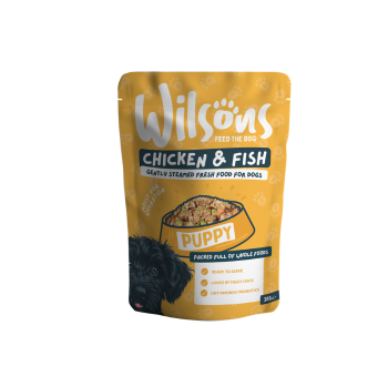 Jollyes Brand Jollyes Brand Wilsons 38 Chicken Puppy Dry Dog Food pet food packaging