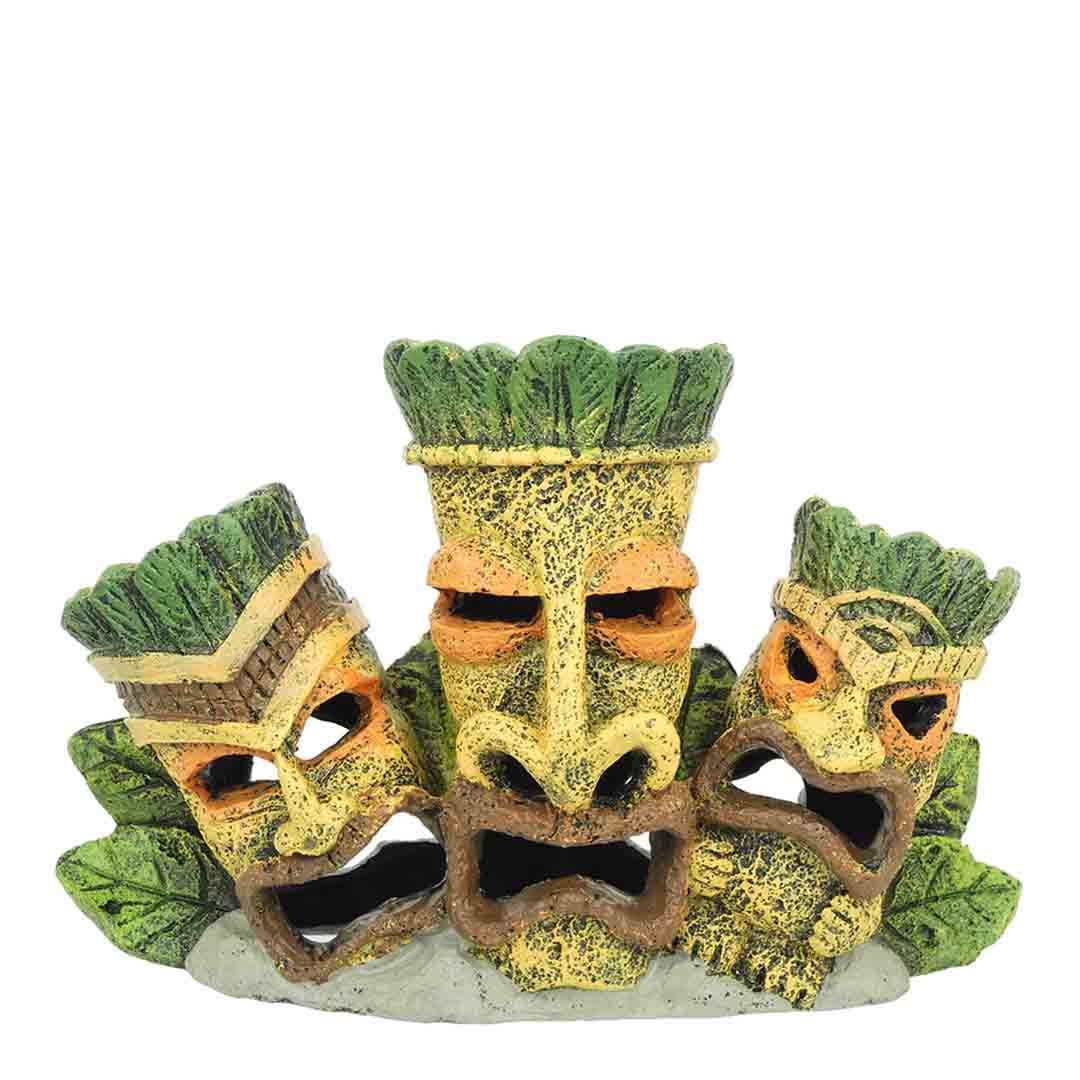 Cold Water Fish Tank Plants Live Plants for Fish Tanks Jollyes