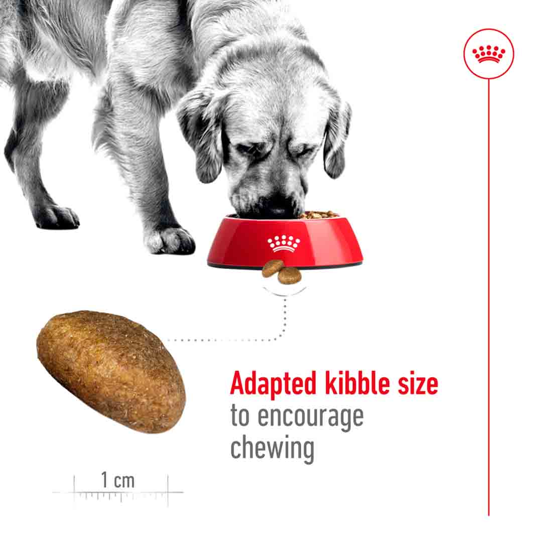 ドッグフード  CANIN 15kg Royal Canin Dry Dog Food Maxi Adult 15kg | Jollyes