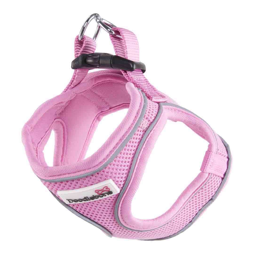 Doodlebone Dog Accessories Instore & Online at Jollyes